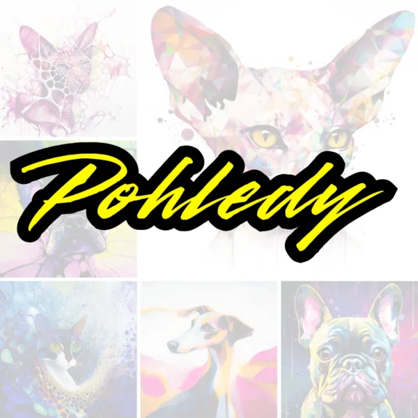 Pohledy, pohlednice, dawidush